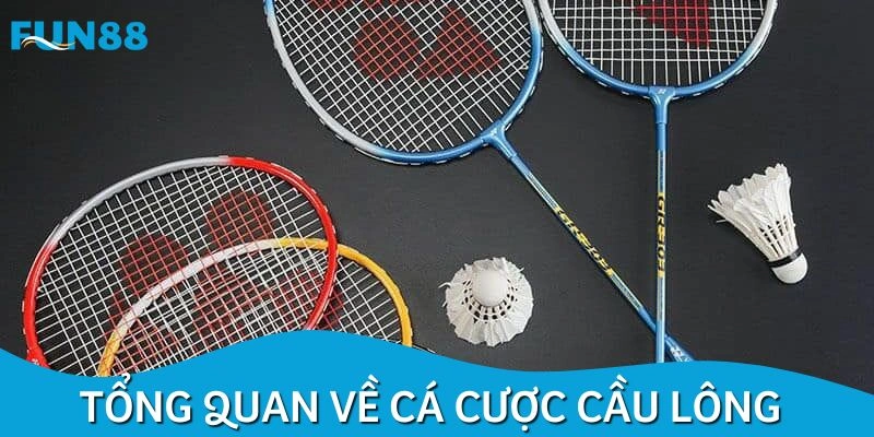 Khái quát về hình thức dự đoán cầu lông