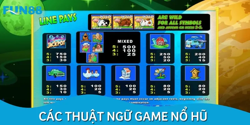 Có một số thuật ngữ nổ hũ cho tân binh quan trọng mà anh em cần nắm rõ