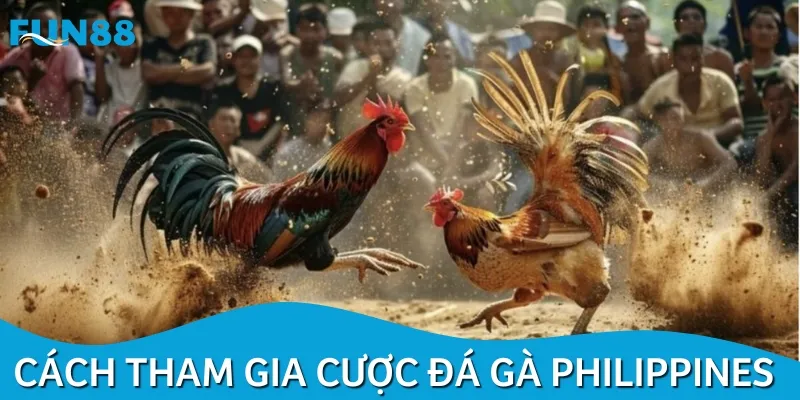 Cách tham gia cá cược đá gà khá đơn giản, thao tác nhanh chóng