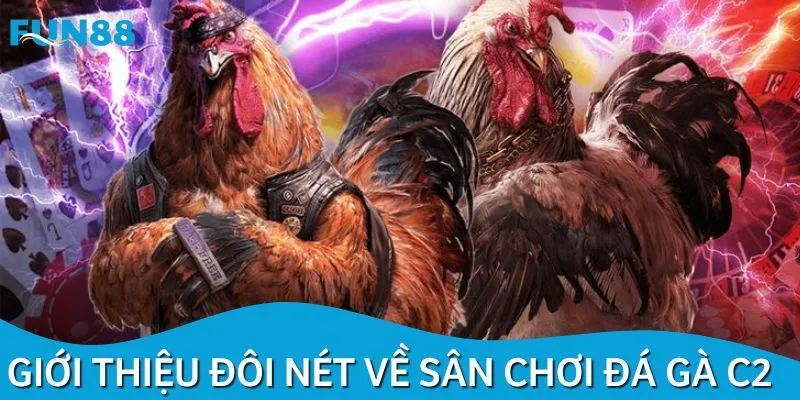 Đôi nét về sảnh đá gà C2
