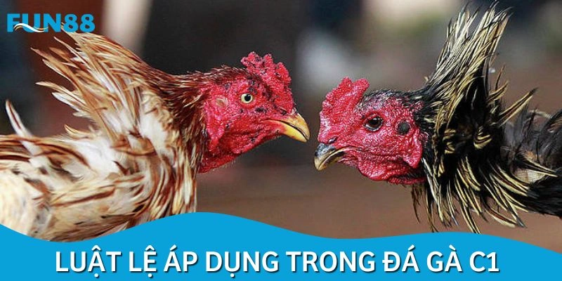 Luật chinh phục hình thức đấu chiến kê C1