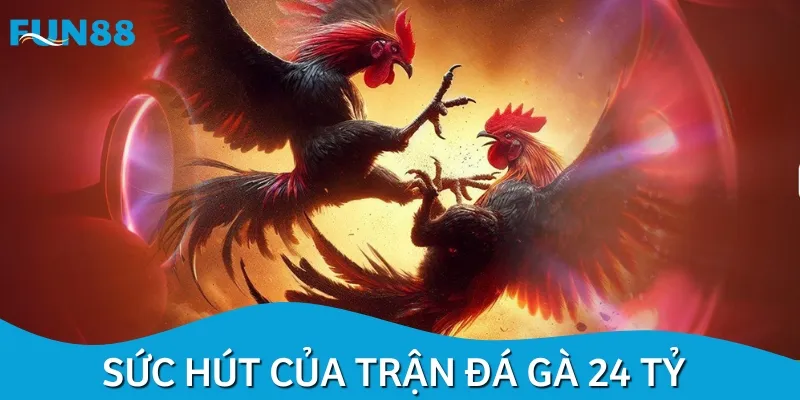 Có nhiều yếu tố tạo nên sức hút của trận chọi gà 24 tỷ
