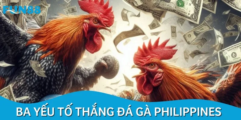 Có một số yếu tố hay giúp bạn chiến thắng cược chọi gà